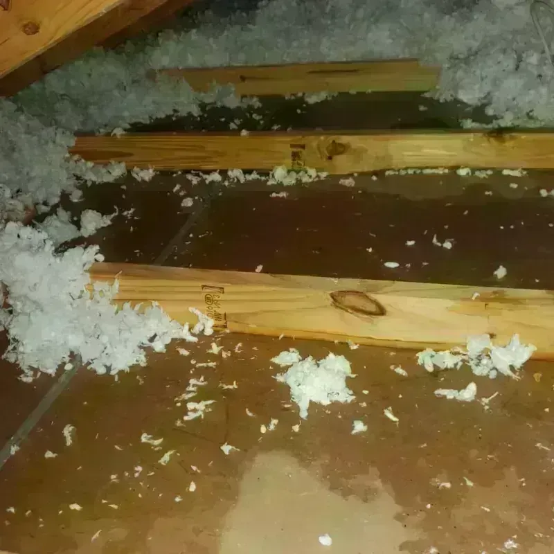 Attic Water Damage in Abilene, TX