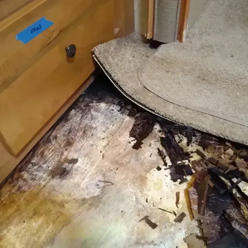 Wood Floor Water Damage in Abilene, TX